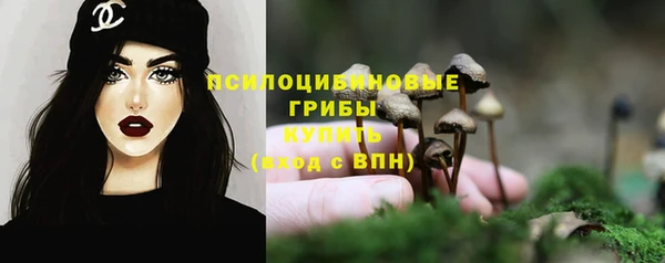 гидра Абдулино